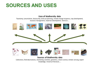 Sources of biodiversity data
Collections, field observations, monitoring activities, genomics, citizen science, remote sensing, expert
knowledge, historical literature, ...
Uses of biodiversity data
Taxonomy, conservation, biosecurity, land-use planning, climate change response, crop development,
resource management, materials development, forensics …
SOURCES AND USES
 