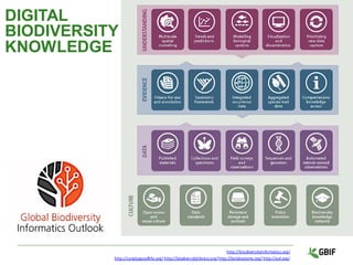 http://biodiversityinformatics.org/
http://catalogueoflife.org/ http://biodiversitylibrary.org/http://boldsystems.org/ http://eol.org/
DIGITAL
BIODIVERSITY
KNOWLEDGE
 