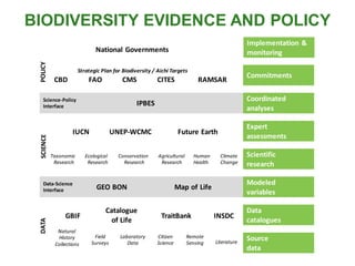 DATASCIENCEPOLICY
Science-Policy
Interface IPBES
IUCN UNEP-WCMC Future Earth
GBIF TraitBank INSDC
Catalogue
of Life
Citizen
Science
Natural
History
Collections
Field
Surveys
Laboratory
Data
Remote
Sensing Literature
National Governments
Strategic Plan for Biodiversity / Aichi Targets
CBD FAO CMS CITES RAMSAR
Data
catalogues
Coordinated
analyses
Source
data
Data-Science
Interface GEO BON Map of Life
Expert
assessments
Scientific
research
Modeled
variables
Commitments
Ecological
Research
Taxonomic
Research
Conservation
Research
Agricultural
Research
Human
Health
Climate
Change
Implementation &
monitoring
BIODIVERSITY EVIDENCE AND POLICY
 