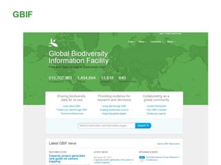 GBIF
 