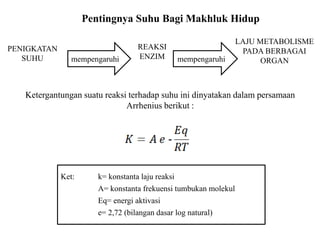 Ket: k= konstanta laju reaksi
A= konstanta frekuensi tumbukan molekul
Eq= energi aktivasi
e= 2,72 (bilangan dasar log natural)
PENIGKATAN
SUHU
REAKSI
ENZIM
LAJU METABOLISME
PADA BERBAGAI
ORGANmempengaruhi mempengaruhi
Ketergantungan suatu reaksi terhadap suhu ini dinyatakan dalam persamaan
Arrhenius berikut :
Pentingnya Suhu Bagi Makhluk Hidup
 