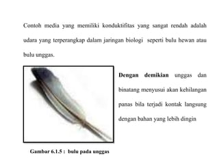 Contoh media yang memiliki konduktifitas yang sangat rendah adalah
udara yang terperangkap dalam jaringan biologi seperti bulu hewan atau
bulu unggas.
Dengan demikian unggas dan
binatang menyusui akan kehilangan
panas bila terjadi kontak langsung
dengan bahan yang lebih dingin
Gambar 6.1.5 : bulu pada unggas
 