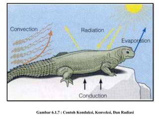 Gambar 6.1.7 : Contoh Konduksi, Konveksi, Dan Radiasi
 