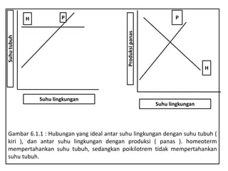 Gambar 6.1.1 : Hubungan yang ideal antar suhu lingkungan dengan suhu tubuh (
kiri ), dan antar suhu lingkungan dengan produksi ( panas ). homeoterm
mempertahankan suhu tubuh, sedangkan poikilotrem tidak mempertahankan
suhu tubuh.
P
H
Suhu lingkungan
Suhu lingkungan
Produksipanas
Suhutubuh
PH
 