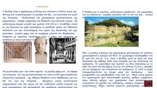 Ο ΦΕΙΔΙΑΣ
Ο Φειδίας ήταν ο φημισμένος γλύπτης που κάλεσαν οι Ηλείοι ιερείς της
Άλτεως για να φιλοτεχνήσει το άγαλμα του Δία , του προστάτη του ιερού
της Ολυμπίας . Πολύπλευρη και χαρισματική προσωπικότητα της
αρχαιότητας , υπήρξε εκφραστής του θαύματος της κλασικής τέχνης . Ως
καλλιτέχνης άκμασε μεταξύ των χρόνων 470-430 π.Χ. Συνδέθηκε στενά
με τον Περικλή και μαζί υλοποίησαν το φιλόδοξο σχέδιο του Αθηναίου
πολιτικού για την ανοικοδόμηση των ιερών της Ακρόπολης και είχε
αποκτήσει μεγάλη φήμη από τα περίφημα γλυπτά του Παρθενώνα .
Σύμφωνα με αρχαίους συγγραφείς ήταν ο μόνος που μπορούσε να
αποδώσει με τόση πιστότητα τον χαρακτήρα και την προσωπικότητα των
θεών .
Τα μεγαλειώδη έργα στα οποία οφείλει τη μεγάλη φήμη του , τη λάμψη
του ονόματός και της προσωπικότητάς του είναι τα δύο χρυσελεφάντινα
λατρευτικά αγάλματα , της Αθηνάς Παρθένου στον Παρθενώνα και του
Δία στο ιερό της Ολυμπίας . Αμέτρητες γενιές καλλιτεχνών
επηρεάστηκαν από την τέχνη του και υιοθέτησαν πολλά στοιχεία και
αυτό αποκαλύπτει την ακτινοβολία του μοναδικού καλλιτεχνικού του
Ο Φειδίας και οι τεχνίτες- καλλιτέχνες εργάζονταν στο εργαστήριό
του που βρίσκεται ακριβώς απέναντι από το ναό του Δία , δυτικά
της Άλτεως .
Εδώ ο μεγάλος γλύπτης της αρχαιότητας φιλοτέχνησε το τεράστιο
χρυσελεφάντινο άγαλμα του θεού. Το εργαστήριο οικοδομήθηκε στο
β΄ μισό του 5ου αι. π.Χ., όταν ο Φειδίας, μετά τα έργα του στην
Ακρόπολη της Αθήνας, ήλθε στην Ολυμπία για την κατασκευή του
αγάλματος. Το εργαστήριο είχε περίπου τις ίδιες διαστάσεις με το
σηκό του ναού του Δία (μήκος 32,18 μ. και πλάτος 14,50 μ.), ακριβώς
για να εξυπηρετεί την κατασκευή του αγάλματος. Σ’ αυτό το χώρο
συναρμολογούνταν τα έτοιμα μέρη του αγάλματος , πριν
μεταφερθούν και τοποθετηθούν στον ναό του . Μέσα στους χώρους
του εργαστηρίου έχει αποκαλυφθεί μεγάλος αριθμός ευρημάτων,
όπως πήλινες μήτρες, που χρησίμευαν στην κατασκευή των
πτυχώσεων του ιματίου του αγάλματος, τεμάχια ελεφαντοστού και
ημιπολύτιμων λίθων, οστέινα εργαλεία χρυσοχοϊκής, καθώς και
 