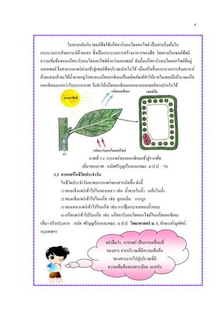 4
ในทางกลับกัน เซลล์พืชใช้แก๊สคาร์บอนไดออกไซด์ เป็นสารเริ่มต้นใน
กระบวนการสังเคราะห์ด้วยแสง ซึ่งเป็นกระบวนการสร้างอาหารของพืช โดยภายในเซลล์พืชมี
ความเข้มข้นของแก๊สคาร์บอนไดออกไซด์ต่ากว่านอกเซลล์ ดังนั้นแก๊สคาร์บอนไดออกไซด์ที่อยู่
นอกเซลล์ จึงสามารถแพร่ผ่านเข้าสู่เซลล์พืชบริเวณปากใบได้ เมื่อเสร็จสิ้นกระบวนการสังเคราะห์
ด้วยแสงแล้วจะได้น้าตาลกลูโคสและแก๊สออกซิเจนเป็นผลิตภัณฑ์ทาให้ภายในเซลล์มีปริมาณแก๊ส
ออกซิเจนมากกว่าในบรรยากาศ จึงทาให้แก๊สออกซิเจนออกมานอกเซลล์ทางปากใบได้
ภาพที่ 3.4 การแพร่ของออกซิเจนเข้าสู่รากพืช
(ที่มาของภาพ : ถนัดศรีบุญเรืองและคณะ. ม.ป.ป. : 70)
1.3 การแพร่ในชีวิตประจาวัน
ในชีวิตประจาวันจะพบการแพร่ของสารเกิดขึ้น ดังนี้
1) ของแข็งแพร่เข้าไปในของเหลว เช่น น้าตาลในน้า เกลือในน้า
2) ของแข็งแพร่เข้าไปในแก๊ส เช่น ลูกเหม็น การบูร
3) ของเหลวแพร่เข้าไปในแก๊ส เช่น การฟุ้งกระจายของน้าหอม
4) แก๊สแพร่เข้าไปในแก๊ส เช่น แก๊สคาร์บอนไดออกไซด์ในแก๊สออกซิเจน
(ที่มา ปรับปรุงจาก : ถนัด ศรีบุญเรืองและคณะ. ม.ป.ป. วิทยาศาสตร์ ม. 1. อักษรเจริญทัศน์ :
กรุงเทพฯ)
อย่าลืมว่า.. การแพร่ เป็นการเคลื่อนที่
ของสาร จากบริเวณที่มีความเข้มข้น
ของสารมากไปสู่บริเวณที่มี
ความเข้มข้นของสารน้อย นะครับ
 