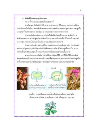 6
2.1 ปัจจัยที่มีผลต่อการดูดน้าของราก
การดูดน้าของรากพืช มีปัจจัยที่เกี่ยวข้องดังนี้
1) ปริมาณน้าในดิน ดินที่มีประมาณของน้ามากจะทาให้สารละลายพวกแร่ธาตุที่มีอยู่
ในดินมีความเข้มข้นต่ากว่าความเข้มข้นของสารละลายในเซลล์ราก อัตราการดูดน้าของรากจะสูงขึ้น
บริเวณที่มีน้าขังเป็นเวลานาน รากพืชจะไม่ได้รับออกซิเจนอาจทาให้พืชตายได้
2) ความเข้มข้นของสารละลายในดิน ในดินที่มีแร่ธาตุปริมาณมาก จะทาให้ความ
เข้มข้นของสารละลายในดินสูงกว่าความเข้มเข้นของสารละลายในรากพืช น้าในเซลล์รากจะแพร่
ออกจากรากไปสู่ดิน เมื่อเกิดต่อเนื่องเป็นเวลานานพืชจะเหี่ยวและตายได้
3) อุณหภูมิของดิน อุณหภูมิที่เหมาะสมต่อการดูดน้าของพืชยู่ระหว่าง 20 – 30 องศา
เซลเซียส ถ้าอุณหภูมิสูงเกินไป ปากใบจะปิดเพื่อลดการคายน้า ทาให้การดูดน้าลดลงไป เพราะ
การคายน้าจะทาให้เกิดแรงดึงน้าจากรากขึ้นสู่ยอดพืชเพื่อทดแทนน้าที่คายน้าออกไป
4) การถ่ายเทอากาศในดิน ในดินที่มีอากาศถ่ายเทได้ดี จะทาให้พืชได้รับออกซิเจน
เพียงพอต่อความต้องการในกระบวนการต่าง ๆ ของพืช และการดูดน้าของรากจะเกิดในอัตราสูงด้วย
ดังนั้นการพรวนดินให้แก่พืชจึงมีความจาเป็นเพราะช่วยให้อากาศในดินเกิดการถ่ายเทได้ดี
ภาพที่ 3.7 การแพร่โมเลกุลของน้าผ่านเยื่อเลือกผ่านโดยการออสโมซิส
(ที่มาของภาพ : ประดับ นาคแก้วและดาวัลย์ เสริมบุญสุข. 2551 : 45)
 