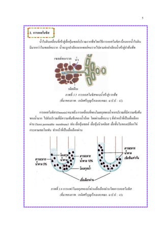 5
2. การออสโมซิส
น้าในดินเคลื่อนที่เข้าสู่เยื่อหุ้มเซลล์บริเวณรากพืชโดยวิธีการออสโมซิส เนื่องจากน้าในดิน
มีมากกว่าในเซลล์ขนราก น้าจะถูกลาเลียงจากเซลล์ขนรากไปตามท่อลาเลียงน้าเข้าสู่ลาต้นพืช
ภาพที่ 3.5 การออสโมซิสของน้าเข้าสู่รากพืช
(ที่มาของภาพ : ถนัดศรีบุญเรืองและคณะ. ม.ป.ป. : 42)
การออสโมซิส(Osmosis)หมายถึงการเคลื่อนที่ของโมเลกุลของน้าจากบริเวณที่มีความเข้มข้น
ของน้ามาก ไปยังบริเวณที่มีความเข้มข้นของน้าน้อย โดยผ่านเยื่อบาง ๆ ที่ทาหน้าที่เป็นเยื่อเลือก
ผ่าน(Semipermeable membrane) เช่น เยื่อหุ้มเซลล์ เยื่อหุ้มนิวเคลียส เยื่อชั้นในของเปลือกไข่
กระดาษเซลโลเฟน ทาหน้าที่เป็นเยื่อเลือกผ่าน
ภาพที่ 3.6 การแพร่โมเลกุลของน้าผ่านเยื่อเลือกผ่านโดยการออสโมซิส
(ที่มาของภาพ : ถนัดศรีบุญเรืองและคณะ. ม.ป.ป. : 43)
 