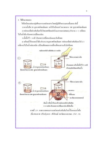9
5. วิธีศึกษาทดลอง
ให้นักเรียนแต่ละกลุ่มศึกษาการแพร่ของสารโดยปฏิบัติกิจกรรมตามขั้นตอน ดังนี้
1) ตวงน้าเย็น 30 ลูกบาศก์เซนติเมตร ลงไปในบีกเกอร์ ขนาดกลาง 100 ลูกบาศก์เซนติเมตร
2) หย่อนเกล็ดด่างทับทิมหรือโพแทสเซียมเปอร์แมงกาเนต (KMnO4) จานวน 2 - 3 เกล็ดลง
ไปในน้าเย็น สังเกตการเปลี่ยนแปลง
3) ตั้งทิ้งไว้ 5 นาที สังเกตการเปลี่ยนแปลงและบันทึกผล
4) เตรียมน้าร้อนและน้าเย็นจานวน30ลูกบาศก์เซนติเมตร หย่อนเกล็ดด่างทับทิมลงไป 2-3
เกล็ด ลงไปในน้าแต่ละชนิด เปรียบเทียบผลการเคลื่อนที่ของสารแล้วบันทึกผล
ภาพที่ 3.9 ภาพการทดลองการแพร่ของด่างทับทิมในน้าร้อนและน้าเย็น
(ที่มาของภาพ ปรับปรุงจาก : ศรีลักษณ์ ผลวัฒนะและคณะ. 2545 : 19)
 