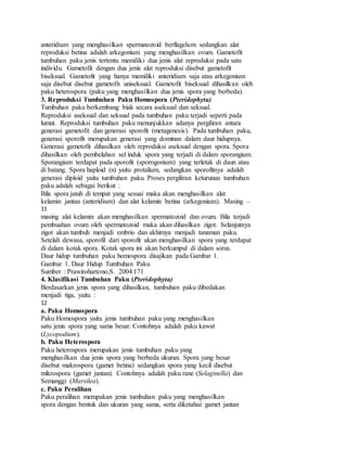 anteridium yang menghasilkan spermatozoid berflagelum sedangkan alat
reproduksi betina adalah arkegonium yang menghasilkan ovum. Gametofit
tumbuhan paku jenis tertentu memiliki dua jenis alat reproduksi pada satu
individu. Gametofit dengan dua jenis alat reproduksi disebut gametofit
biseksual. Gametofit yang hanya memiliki anteridium saja atau arkegonium
saja disebut disebut gametofit uniseksual. Gametofit biseksual dihasilkan oleh
paku heterospora (paku yang menghasilkan dua jenis spora yang berbeda).
3. Reproduksi Tumbuhan Paku Homospora (Pteridophyta)
Tumbuhan paku berkembang biak secara aseksual dan seksual.
Reproduksi aseksual dan seksual pada tumbuhan paku terjadi seperti pada
lumut. Reproduksi tumbuhan paku menunjukkan adanya pergiliran antara
generasi gametofit dan generasi sporofit (metagenesis). Pada tumbuhan paku,
generasi sporofit merupakan generasi yang dominan dalam daur hidupnya.
Generasi gametofit dihasilkan oleh reproduksi aseksual dengan spora. Spora
dihasilkan oleh pembelahan sel induk spora yang terjadi di dalam sporangium.
Sporangium terdapat pada sporofit (sporogonium) yang terletak di daun atau
di batang. Spora haploid (n) yaitu protalium, sedangkan sporofitnya adalah
generasi diploid yaitu tumbuhan paku. Proses pergiliran keturunan tumbuhan
paku adalah sebagai berikut :
Bila spora jatuh di tempat yang sesuai maka akan menghasilkan alat
kelamin jantan (anteridium) dan alat kelamin betina (arkegonium). Masing –
11
masing alat kelamin akan menghasilkan spermatozoid dan ovum. Bila terjadi
pembuahan ovum oleh spermatozoid maka akan dihasilkan zigot. Selanjutnya
zigot akan tumbuh menjadi embrio dan akhirnya menjadi tanaman paku.
Setelah dewasa, sporofil dari sporofit akan menghasilkan spora yang terdapat
di dalam kotak spora. Kotak spora ini akan berkumpul di dalam sorus.
Daur hidup tumbuhan paku homospora disajikan pada Gambar 1.
Gambar 1. Daur Hidup Tumbuhan Paku
Sumber : Prawirohartono,S. 2004:171
4. Klasifikasi Tumbuhan Paku (Pteridophyta)
Berdasarkan jenis spora yang dihasilkan, tumbuhan paku dibedakan
menjadi tiga, yaitu :
12
a. Paku Homospora
Paku Homospora yaitu jenis tumbuhan paku yang menghasilkan
satu jenis spora yang sama besar. Contohnya adalah paku kawat
(Lycopodium).
b. Paku Heterospora
Paku heterospora merupakan jenis tumbuhan paku yang
menghasilkan dua jenis spora yang berbeda ukuran. Spora yang besar
disebut makrospora (gamet betina) sedangkan spora yang kecil disebut
mikrospora (gamet jantan). Contohnya adalah paku rane (Selaginella) dan
Semanggi (Marsilea).
c. Paku Peralihan
Paku peralihan merupakan jenis tumbuhan paku yang menghasilkan
spora dengan bentuk dan ukuran yang sama, serta diketahui gamet jantan
 