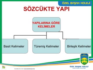 SÖZCÜKTE YAPI
YAPILARINA GÖRE
KELİMELER
Basit Kelimeler Türemiş Kelimeler Birleşik Kelimeler
 