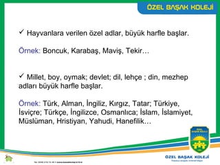  Hayvanlara verilen özel adlar, büyük harfle başlar.
Örnek: Boncuk, Karabaş, Maviş, Tekir…
 Millet, boy, oymak; devlet; dil, lehçe ; din, mezhep
adları büyük harfle başlar.
Örnek: Türk, Alman, İngiliz, Kırgız, Tatar; Türkiye,
İsviçre; Türkçe, İngilizce, Osmanlıca; İslam, İslamiyet,
Müslüman, Hristiyan, Yahudi, Hanefilik…
 