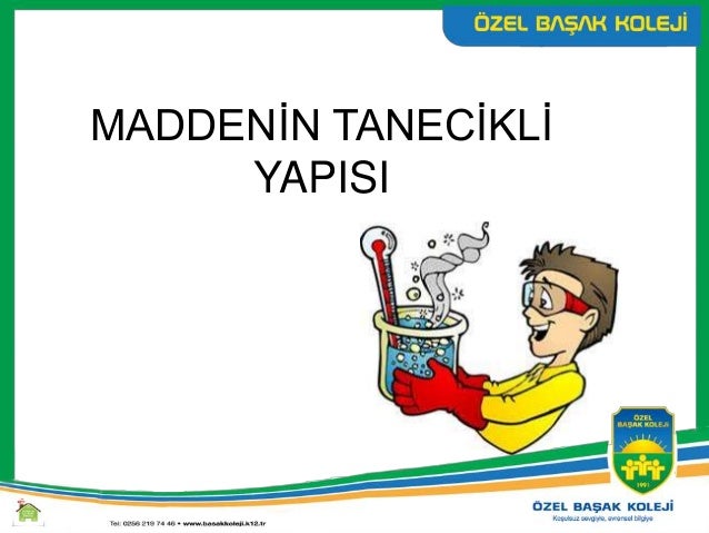 Maddenin 6 Hali
