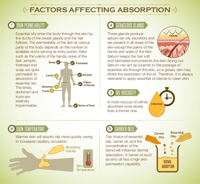 Essential oils factors affecting absorption