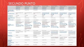 SEGUNDO PUNTO