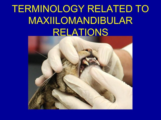 maxillomandibular relations - terminology | PPT | Dental Health ...