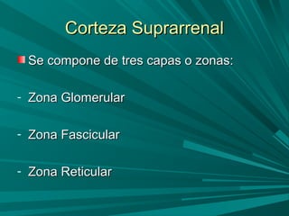 Corteza SuprarrenalCorteza Suprarrenal
Se compone de tres capas o zonas:Se compone de tres capas o zonas:
- Zona GlomerularZona Glomerular
- Zona FascicularZona Fascicular
- Zona ReticularZona Reticular
 