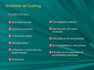 Síndrome de CushingSíndrome de Cushing
Cuadro ClínicoCuadro Clínico
Obesidad truncalObesidad truncal
Cara en luna llenaCara en luna llena
““Joroba de búfalo”Joroba de búfalo”
HiperglucemiaHiperglucemia
Linfopenia y reducción deLinfopenia y reducción de
tejido linfoidetejido linfoide
HirsutismoHirsutismo
Piel delgada (estrías)Piel delgada (estrías)
Disminución de masaDisminución de masa
muscularmuscular
Dificultad en la cicatrizaciónDificultad en la cicatrización
Susceptibilidad a infeccionesSusceptibilidad a infecciones
Pérdida de la respuesta dePérdida de la respuesta de
sensibilidad retardadasensibilidad retardada
 