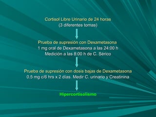 Cortisol Libre Urinario de 24 horasCortisol Libre Urinario de 24 horas
(3 diferentes tomas)(3 diferentes tomas)
Prueba de supresión con DexametasonaPrueba de supresión con Dexametasona
1 mg oral de Dexametasona a las 24:00 h1 mg oral de Dexametasona a las 24:00 h
Medición a las 8:00 h de C. SéricoMedición a las 8:00 h de C. Sérico
Prueba de supresión con dosis bajas de DexametasonaPrueba de supresión con dosis bajas de Dexametasona
0.5 mg c/6 hrs x 2 días. Medir C. urinario y Creatinina0.5 mg c/6 hrs x 2 días. Medir C. urinario y Creatinina
Hipercortisolismo
 