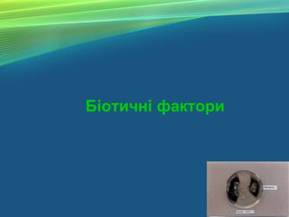 Біотичні фактори
 