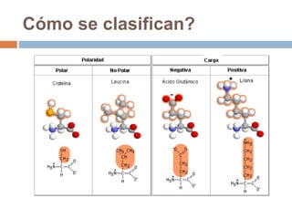 Cómo se clasifican?
 