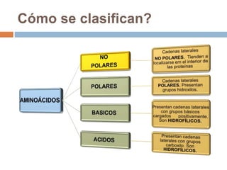 Cómo se clasifican?
 