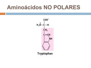 Aminoácidos NO POLARES
 
