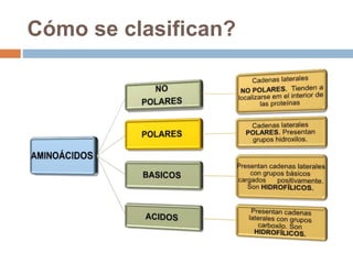 Cómo se clasifican?
 