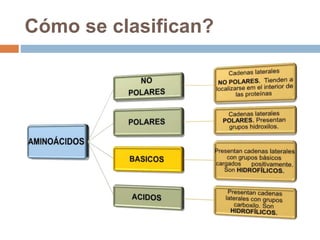 Cómo se clasifican?
 