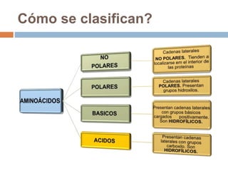 Cómo se clasifican?
 