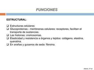 FUNCIONES
Alberts, 5ª ed.
ESTRUCTURAL:
 Estructuras celulares:
 Glucoproteinas - membranas celulares: receptores, facilitan el
transporte de sustancias.
 Las histonas: cromosomas.
 Elasticidad y resistencia a órganos y tejidos: colágeno, elastina,
queratina.
 En arañas y gusanos de seda: fibroina.
 