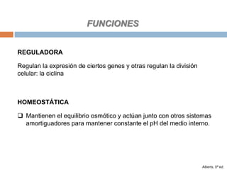 Alberts, 5ª ed.
REGULADORA
Regulan la expresión de ciertos genes y otras regulan la división
celular: la ciclina
HOMEOSTÁTICA
 Mantienen el equilibrio osmótico y actúan junto con otros sistemas
amortiguadores para mantener constante el pH del medio interno.
FUNCIONES
 