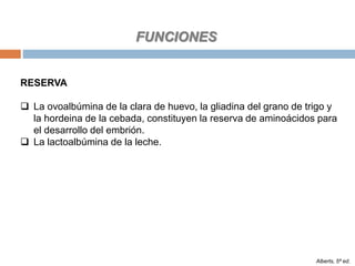 Alberts, 5ª ed.
RESERVA
 La ovoalbúmina de la clara de huevo, la gliadina del grano de trigo y
la hordeina de la cebada, constituyen la reserva de aminoácidos para
el desarrollo del embrión.
 La lactoalbúmina de la leche.
FUNCIONES
 
