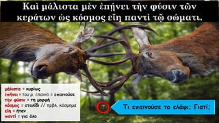 Καὶ μάλιστα μὲν ἐπῄνει τὴν φύσιν τῶν
κεράτων ὡς κόσμος εἴη παντὶ τῷ σώματι.
μάλιστα = κυρίως
ἐπήνει > του ρ. ἐπαινῶ = επαινούσε
τὴν φύσιν = τη μορφή
κόσμος = στολίδι // πρβλ. κόσμημα
εἴη = ήταν
παντί = για όλο
Τι επαινούσε το ελάφι; Γιατί;
 