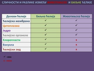 Делови ћелије Биљна ћелија Животињска ћелија
Ћелијска мембрана  
Цитоплазма  
Једро  
Ћелијске органеле  
Хлоропласти  x
Вакуола  x
Ћелијски зид  x
СЛИЧНОСТИ И РАЗЛИКЕ ИЗМЕЂУ ЖИВОТИЊСКЕ И БИЉНЕ ЋЕЛИЈЕ
 - има
x - нема
 