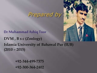 Dr MuhammadAshiq Toor
DVM , B s c (Zoology)
Islamia University of Bahawal Pur (IUB)
(2010 – 2015)
+92-344-499-7375
+92-300-364-2402
 
