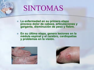 SINTOMAS
 La enfermedad en su primera etapa
provoca dolor de cabeza, articulaciones y
garganta, disminución de peso y fiebre.
 En su última etapa, genera lesiones en la
médula espinal y el cerebro, cardiopatías
y problemas en la visión.
 