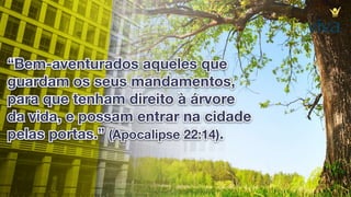 6. por que devo ser batizado