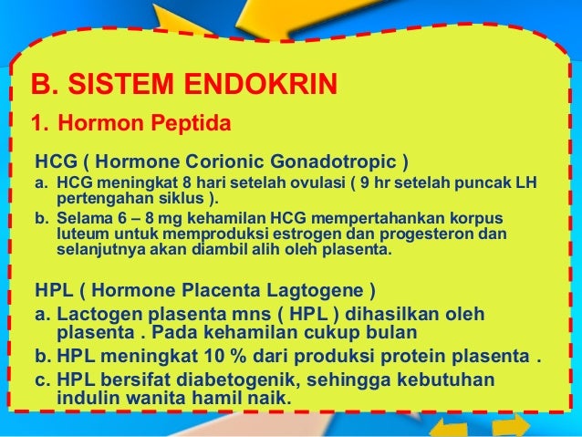 6 Perubahan Anatomi Dan Adaptasi Fisiologi Dalam Kehamilan