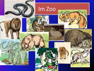 Im Zoo
 