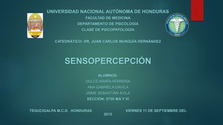 UNIVERSIDAD NACIONAL AUTÓNOMA DE HONDURAS
FACULTAD DE MEDICINA
DEPARTAMENTO DE PSICOLOGÍA
CLASE DE PSICOPATOLOGÍA
CATEDRÁTICO: DR. JUAN CARLOS MUNGUÍA HERNÁNDEZ
SENSOPERCEPCIÓN
ALUMNOS:
DULCE MARÍA HERRERA
ANA GABRIELA DÁVILA
JAIME SEBASTIÁN ÁVILA
SECCIÓN: 0700 MA Y VI
TEGUCIGALPA M.C.D. HONDURAS VIERNES 11 DE SEPTIEMBRE DEL
2015
 