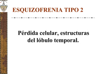 ESQUIZOFRENIA TIPO 2
Pérdida celular, estructuras
del lóbulo temporal.
 