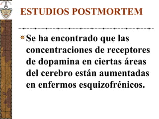 ESTUDIOS POSTMORTEM
Se ha encontrado que las
concentraciones de receptores
de dopamina en ciertas áreas
del cerebro están aumentadas
en enfermos esquizofrénicos.
 