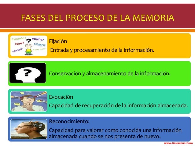 trastorno de la memoria en el adulto mayor