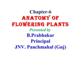 Chapter-6
ANATOMY OF
FLOWERING PLANTS
Presented by
B.Prabhakar
Principal
JNV. Panchmahal (Guj)
 