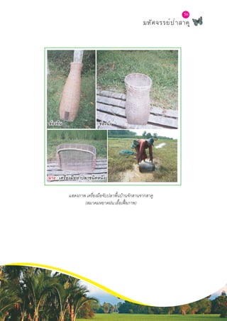 56
มหัศจรรย์ป่าสาคู
56
แสดงภาพ เครื่องมือจับปลาพื้นบ้านจักสานจากสาคู
(สมาคมหยาดฝน:เอื้อเฟื้อภาพ)
ข้องนั่งข้องยืน
นาง : ๶ครื่องมือหาปลาชนิดหนึ่ง
 