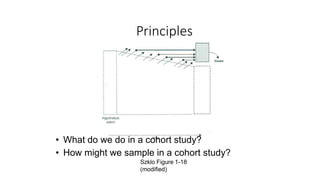 Principles
• What do we do in a cohort study?
• How might we sample in a cohort study?
Szklo Figure 1-18
(modified)
 
