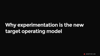 Why experimentation is the new
target operating model
 