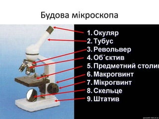 Будова мікроскопа
• основа
• предметний столик
• штатив
• мікрогвинт
• тубус
• дзеркало
• діафрагма
• об'єктив
• окуляр
 