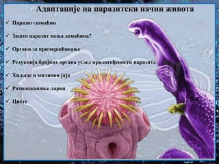 Паразит-домаћин
 Зашто паразит мења домаћина?
 Органи за причвршћивање
 Редукција бројних органа услед прилагођености паразита
 Хиљаде и милиони јаја
 Размножавање ларви
 Цисте
Адаптације на паразитски начин живота
 